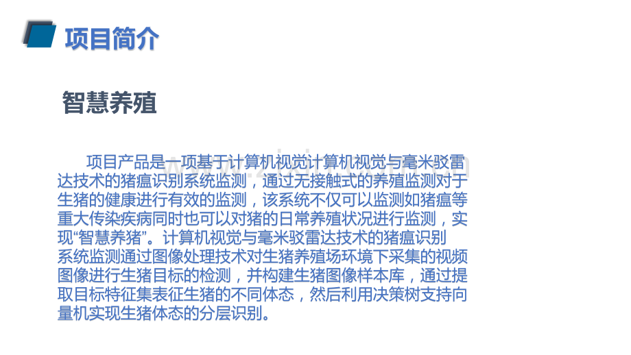 智慧养殖-【项目计划书】.pptx_第2页