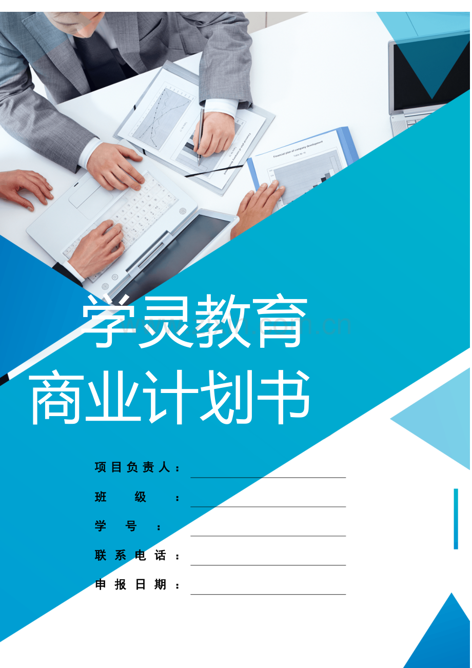 学灵在线教育策划书-【项目计划书】.doc_第1页