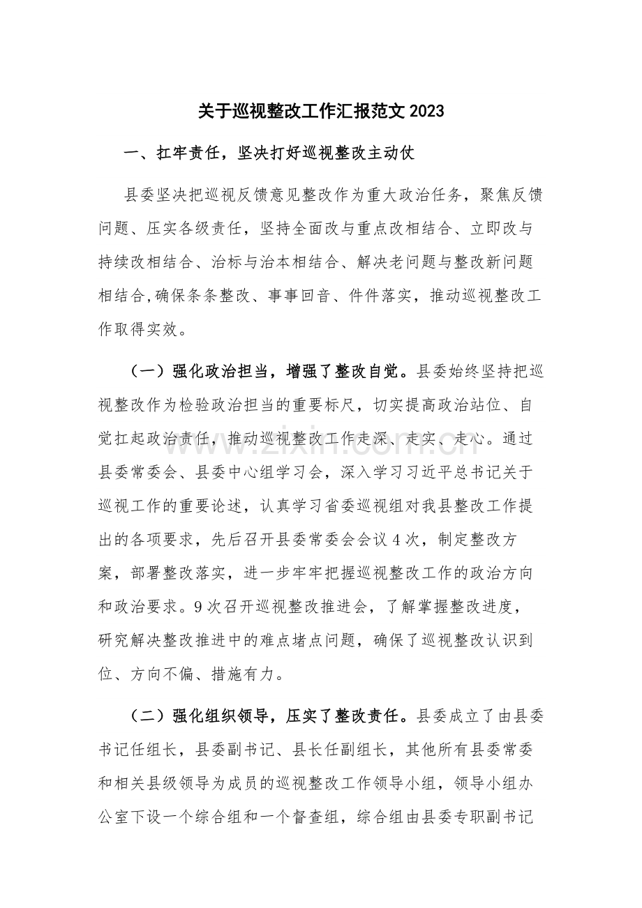 关于巡视整改工作汇报范文2023.docx_第1页