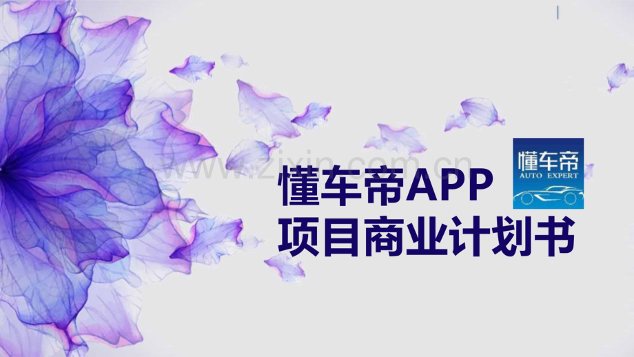 《懂车帝》APP项目-打造汽车生活生态圈 一站式汽车撮合交易平台商业计划书【最终版】 .pdf_第1页