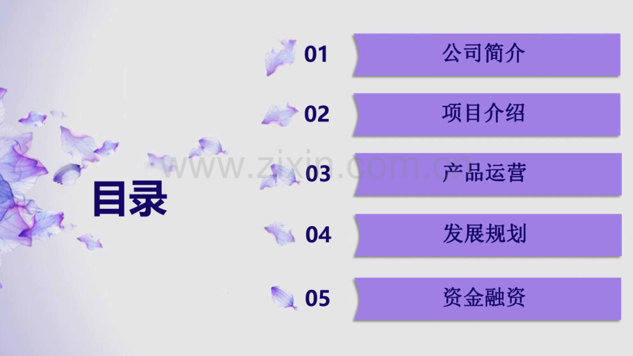 《懂车帝》APP项目-打造汽车生活生态圈 一站式汽车撮合交易平台商业计划书【最终版】 .pdf_第2页