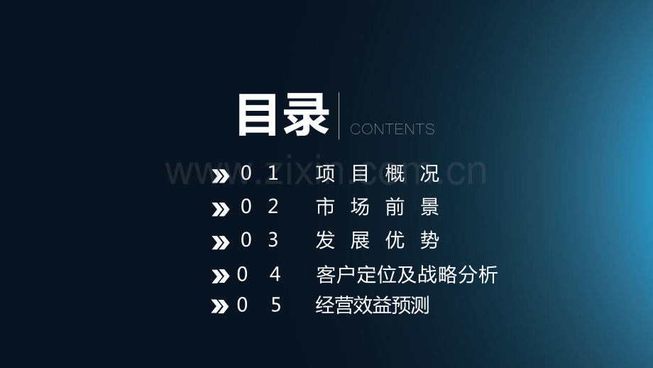 青岛浮山所养老公寓商业计划书.pdf_第2页