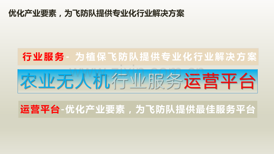 农业无人机行业服务平台商业计划书.pdf_第2页