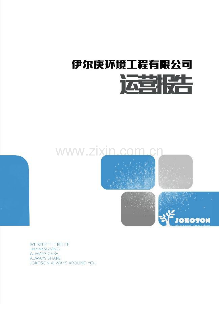 同济大学 上海伊尔庚环境工程有限公司项目运营报告 .pdf_第1页