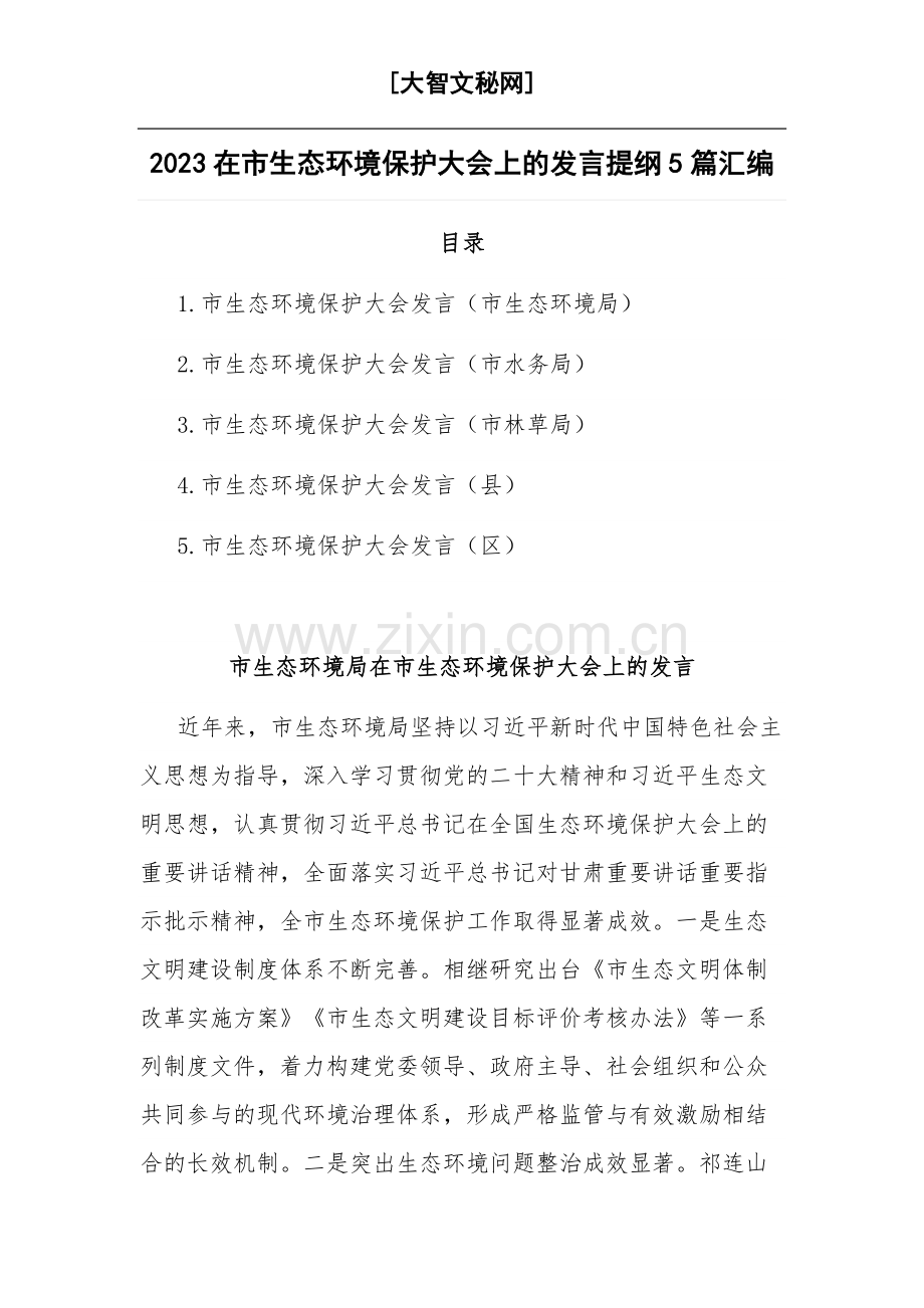 2023在市生态环境保护大会上的发言提纲5篇汇编.docx_第1页