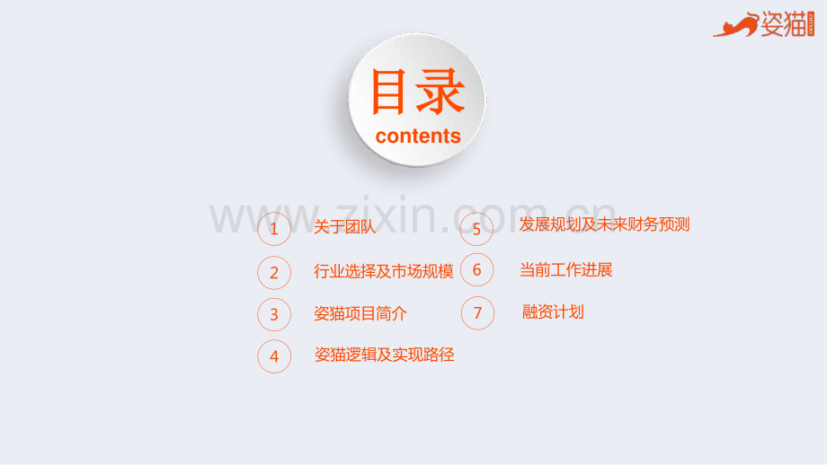 姿猫项目.商业计划.pdf_第2页