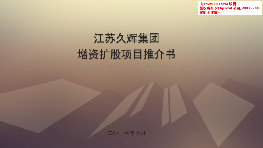 江苏久辉肝钠素商业计划书.pdf_第1页