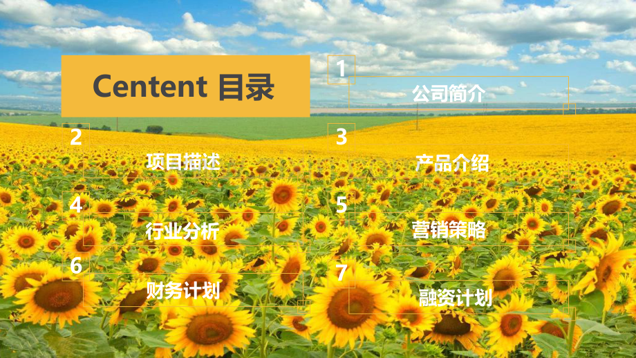绿天使-绿色油葵产业链项目.pdf_第2页