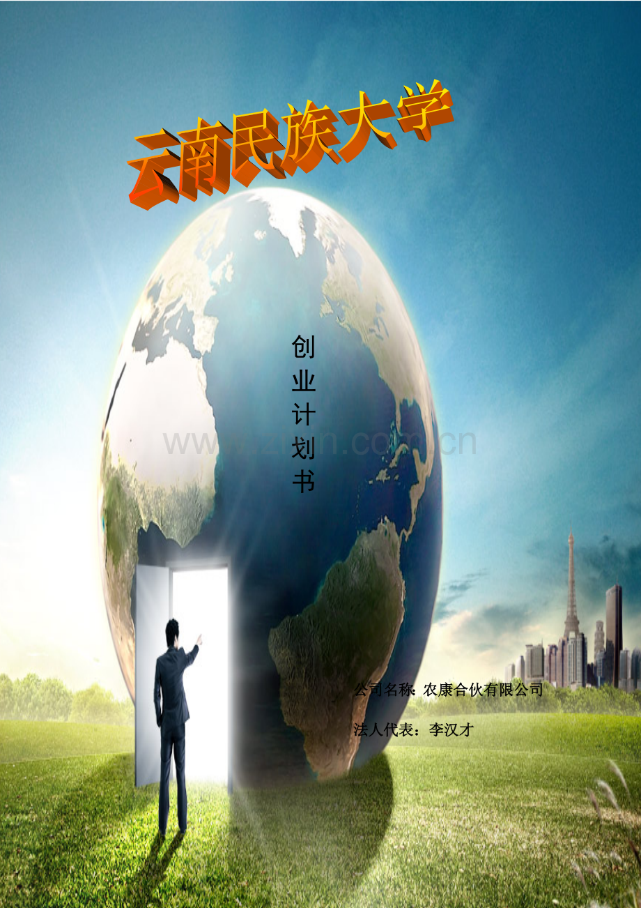 农康集团创业计划书 .doc_第1页