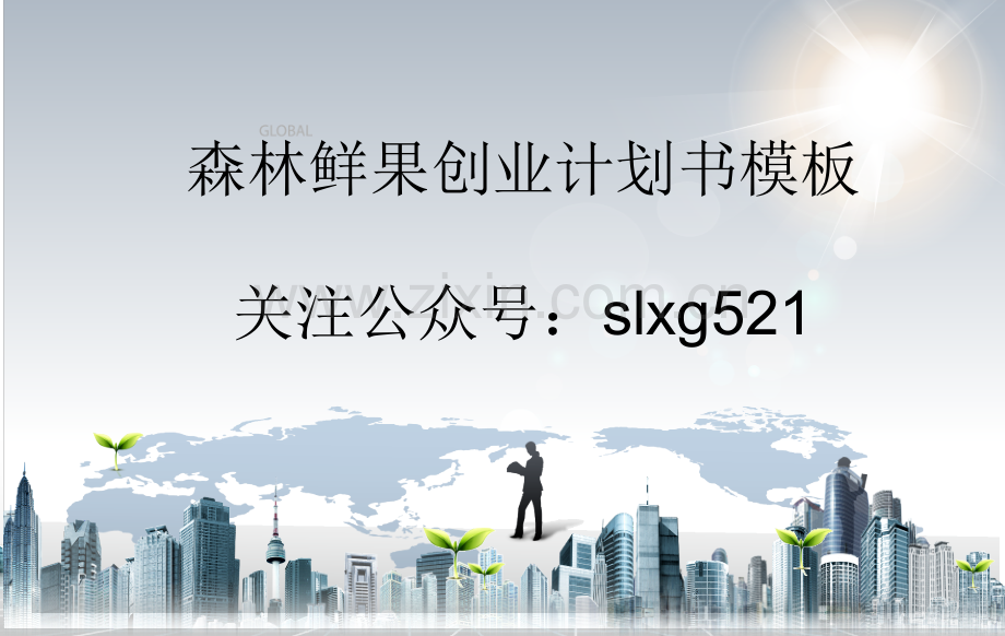 网吧创业计划书 (1) .ppt_第1页
