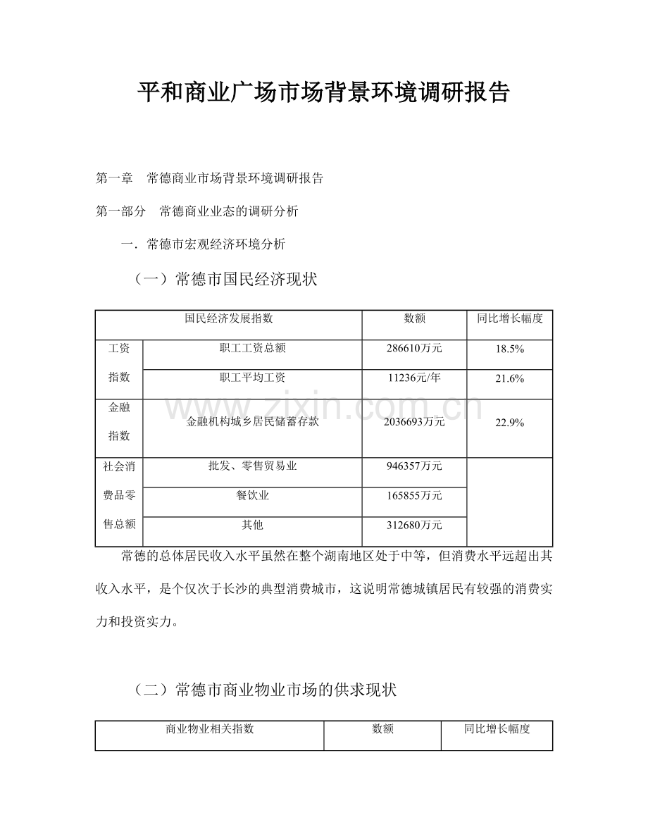 平和商业广场市场背景环境调研报告.doc_第1页