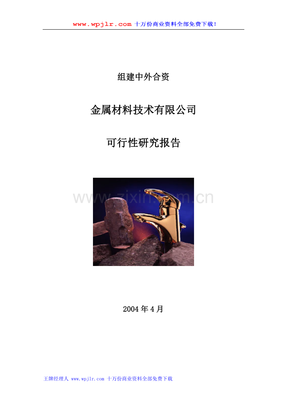 金属材料技术有限公司可行性研究报告.doc_第1页