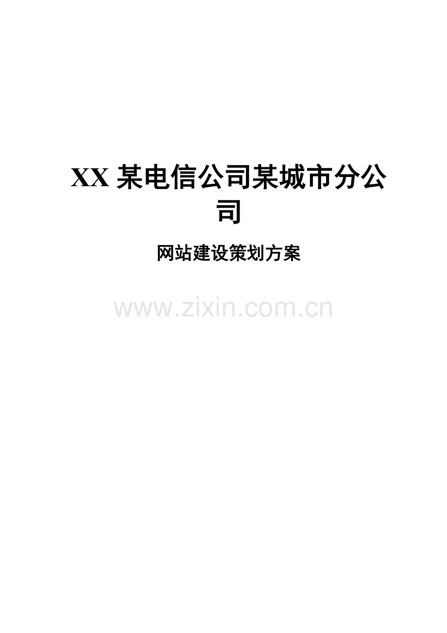 某电信公司某城市分公司网站建设策划方案.doc_第1页