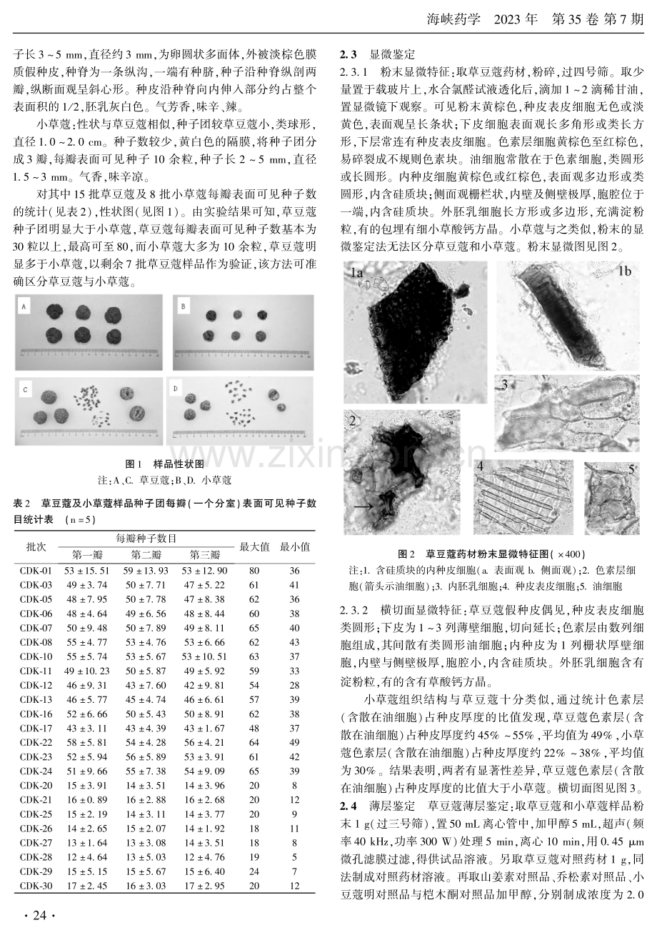 草豆蔻与小草蔻的比较鉴别研究.pdf_第3页