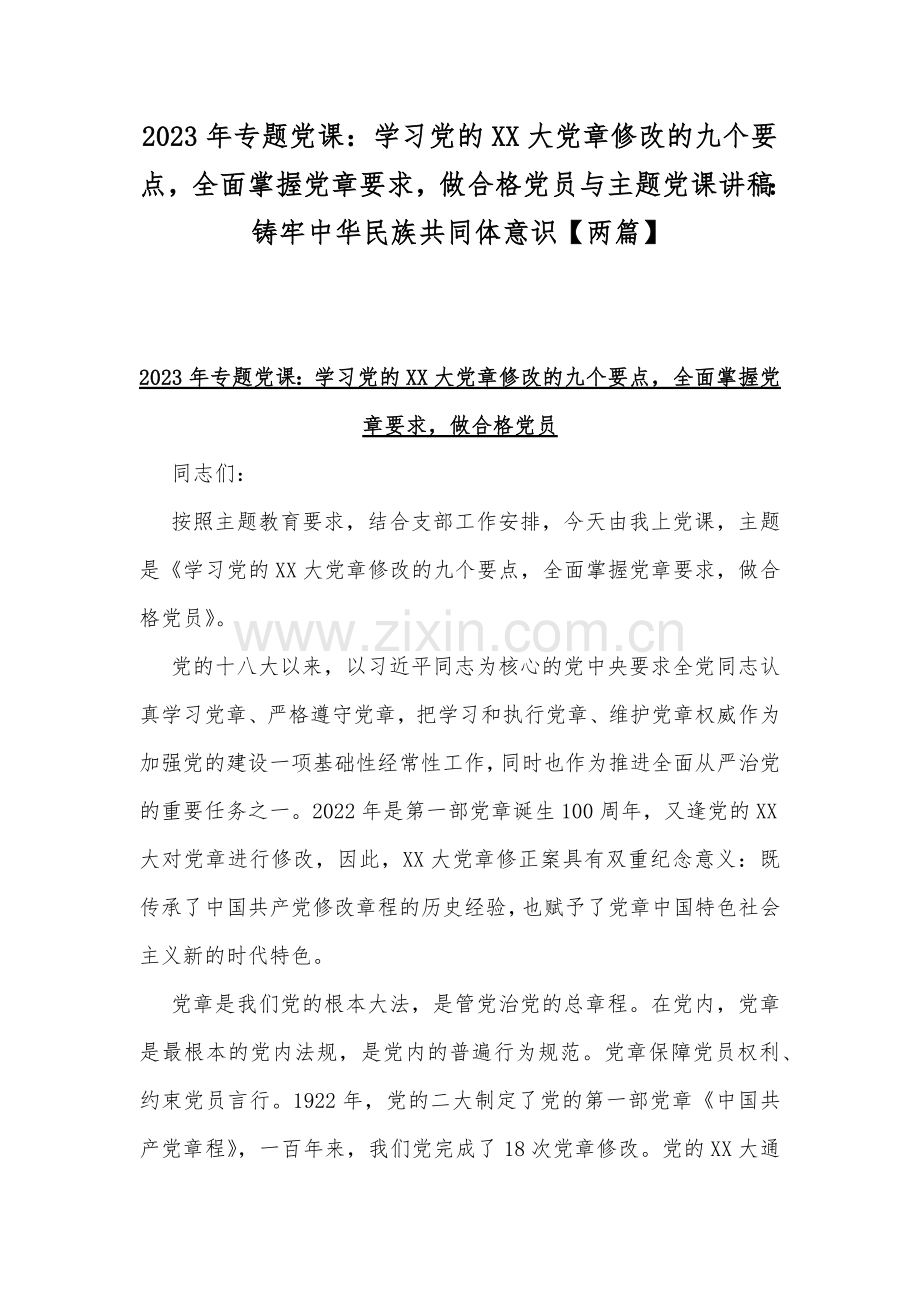 2023年专题党课：学习党的XX大党章修改的九个要点全面掌握党章要求做合格党员与主题党课讲稿：铸牢中华民族共同体意识【两篇】.docx_第1页