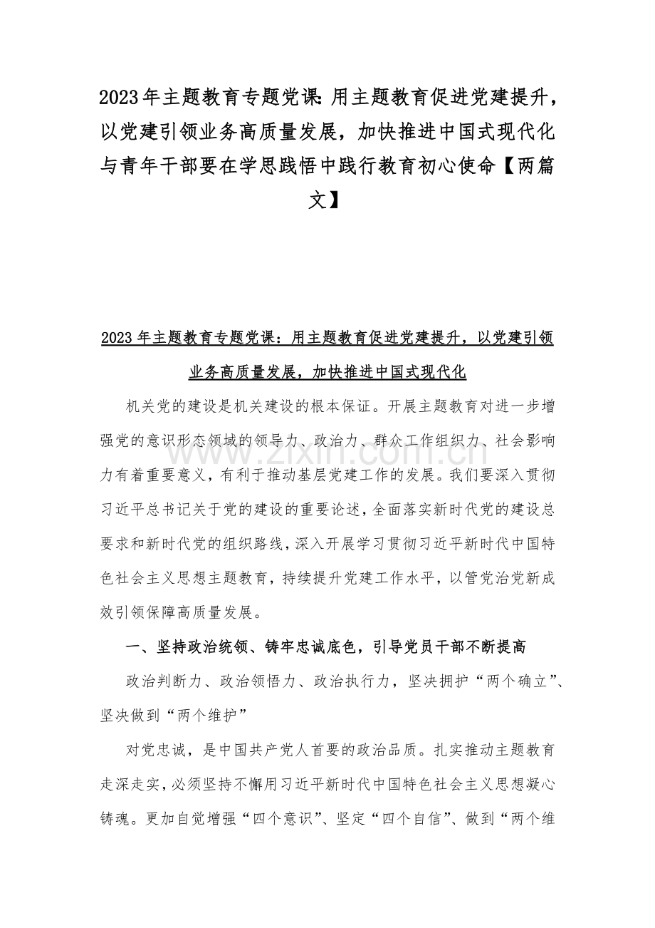 2023年主题教育专题党课：用主题教育促进党建提升以党建引领业务高质量发展加快推进中国式现代化与青年干部要在学思践悟中践行教育初心使命【两篇文】.docx_第1页