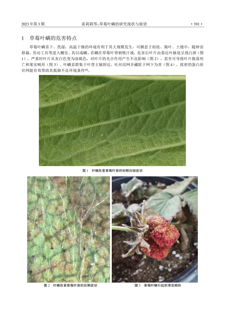 草莓叶螨的研究现状与展望.pdf_第2页