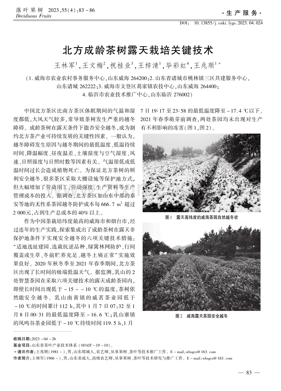北方成龄茶树露天栽培关键技术.pdf_第1页