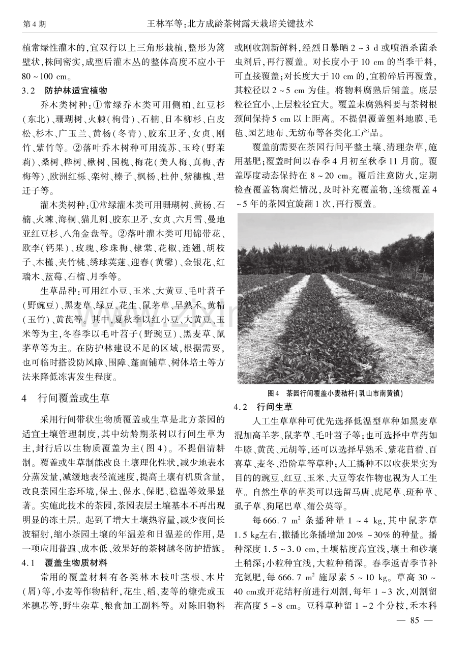 北方成龄茶树露天栽培关键技术.pdf_第3页