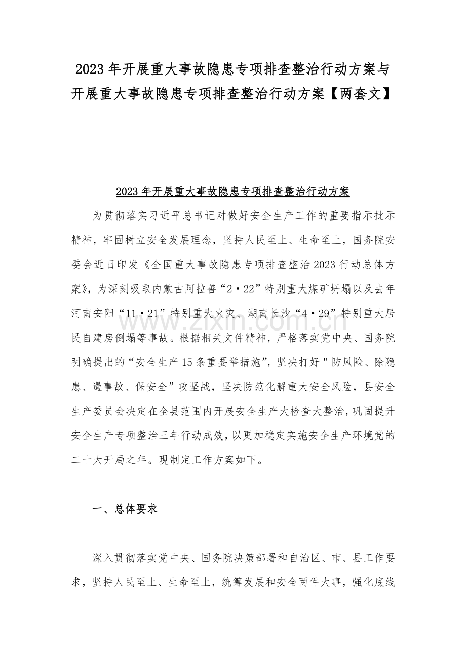 2023年开展重大事故隐患专项排查整治行动方案与开展重大事故隐患专项排查整治行动方案【两套文】.docx_第1页