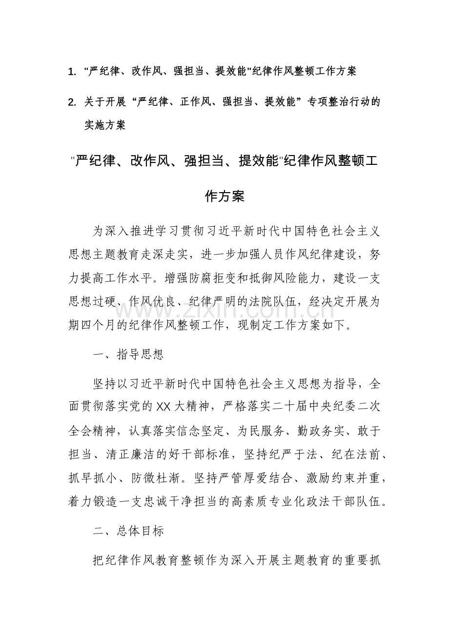 2023年开展“严纪律、正作风、强担当、提效能”专项整治行动的实施方案范文2篇.docx_第1页