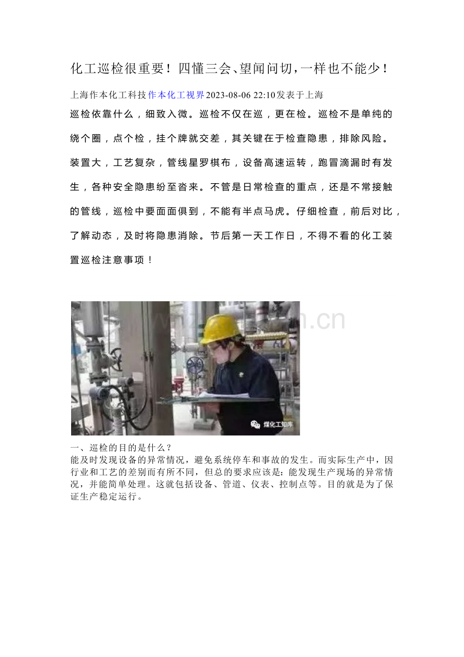 化工巡检,四懂三会、望闻问切.docx_第1页