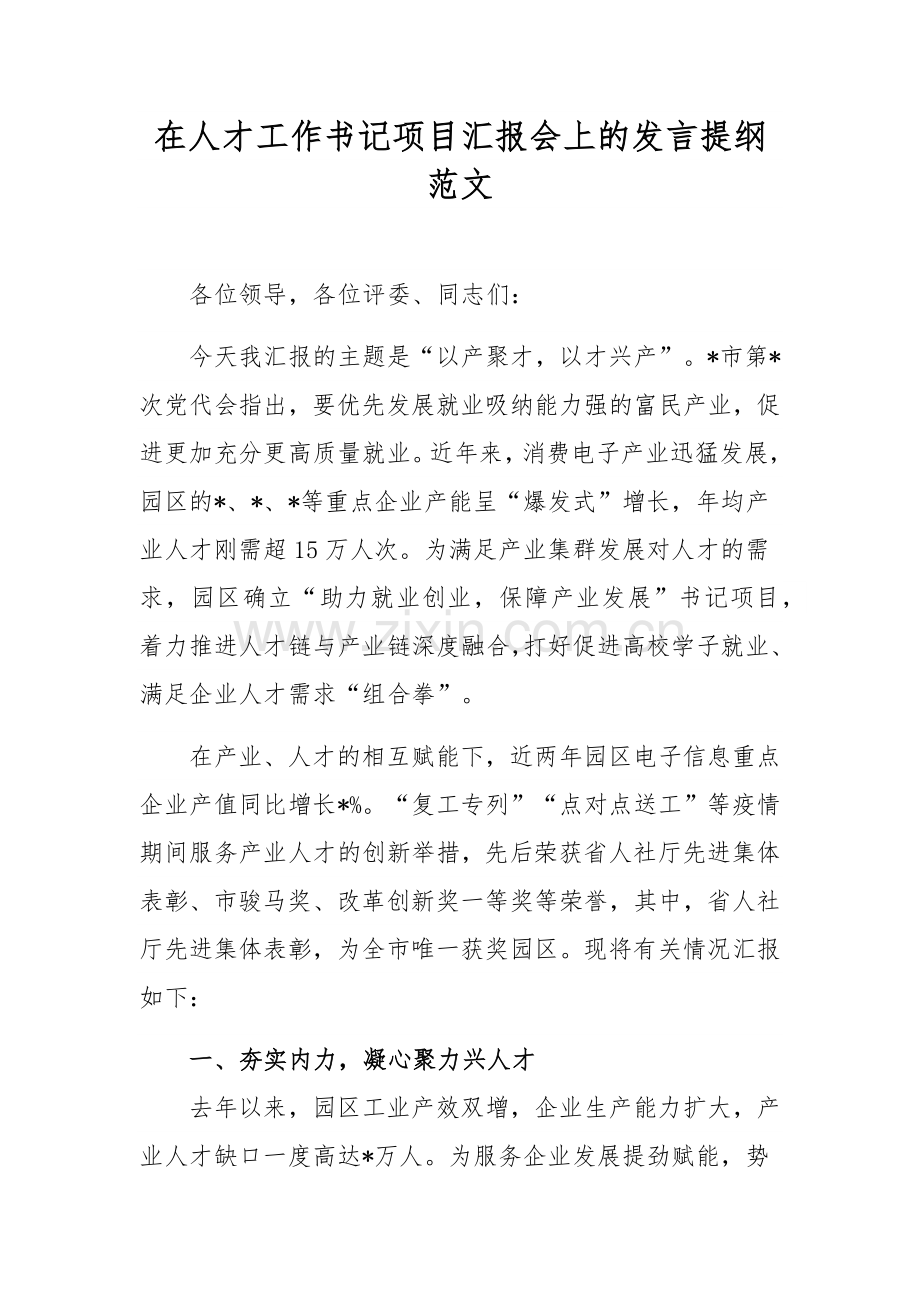 在人才工作书记项目汇报会上的发言提纲范文.docx_第1页