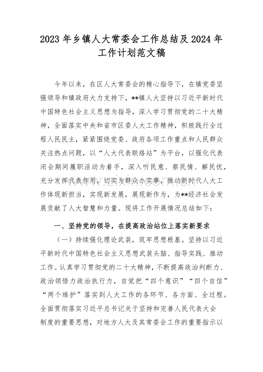 2023年乡镇人大常委会工作总结及2024年工作计划范文稿.docx_第1页