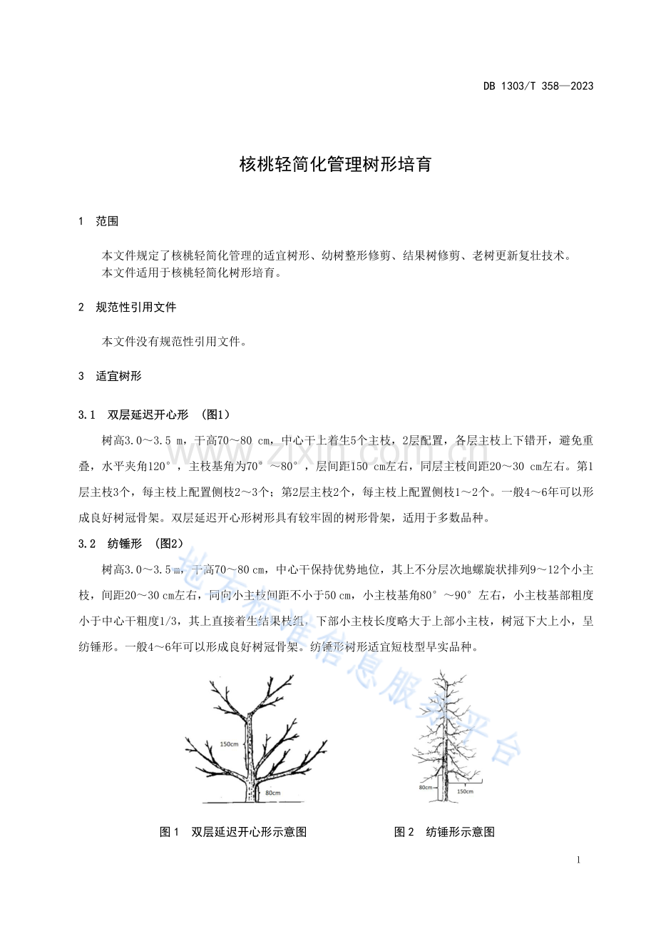 DB1303_T358-2023核桃轻简化管理树形培育.pdf_第3页