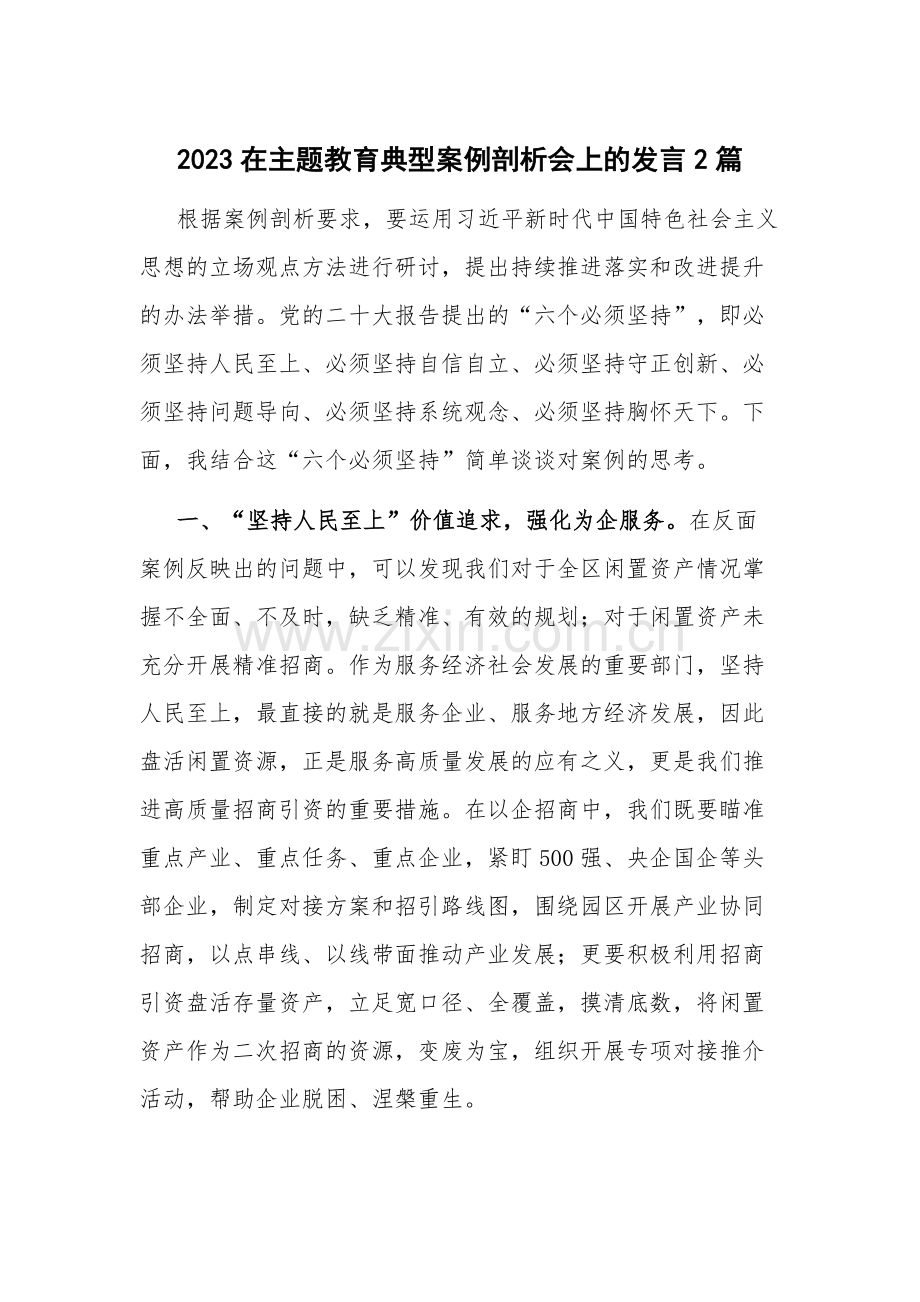 2023在主题教育典型案例剖析会上的发言2篇.docx_第1页