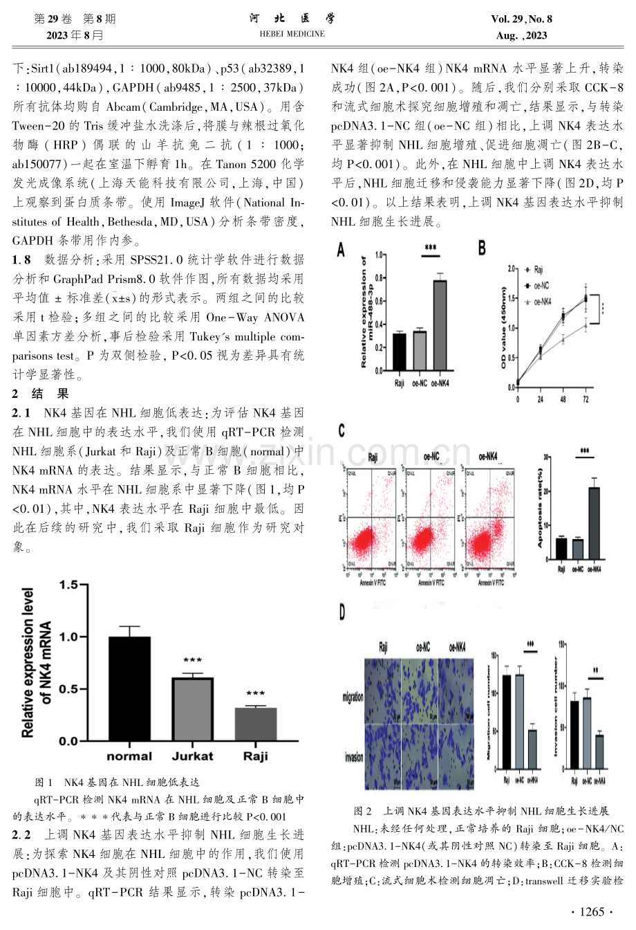基于Sirt1_p53信号通路探究NK4基因对非霍奇金淋巴瘤细胞增殖和凋亡的机制研究.pdf_第3页