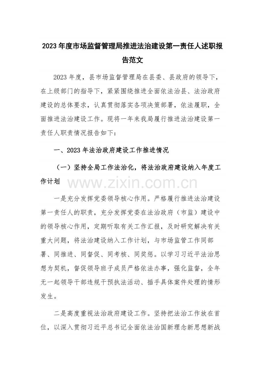 2023年度市场监督管理局推进法治建设第一责任人述职报告范文.docx_第1页