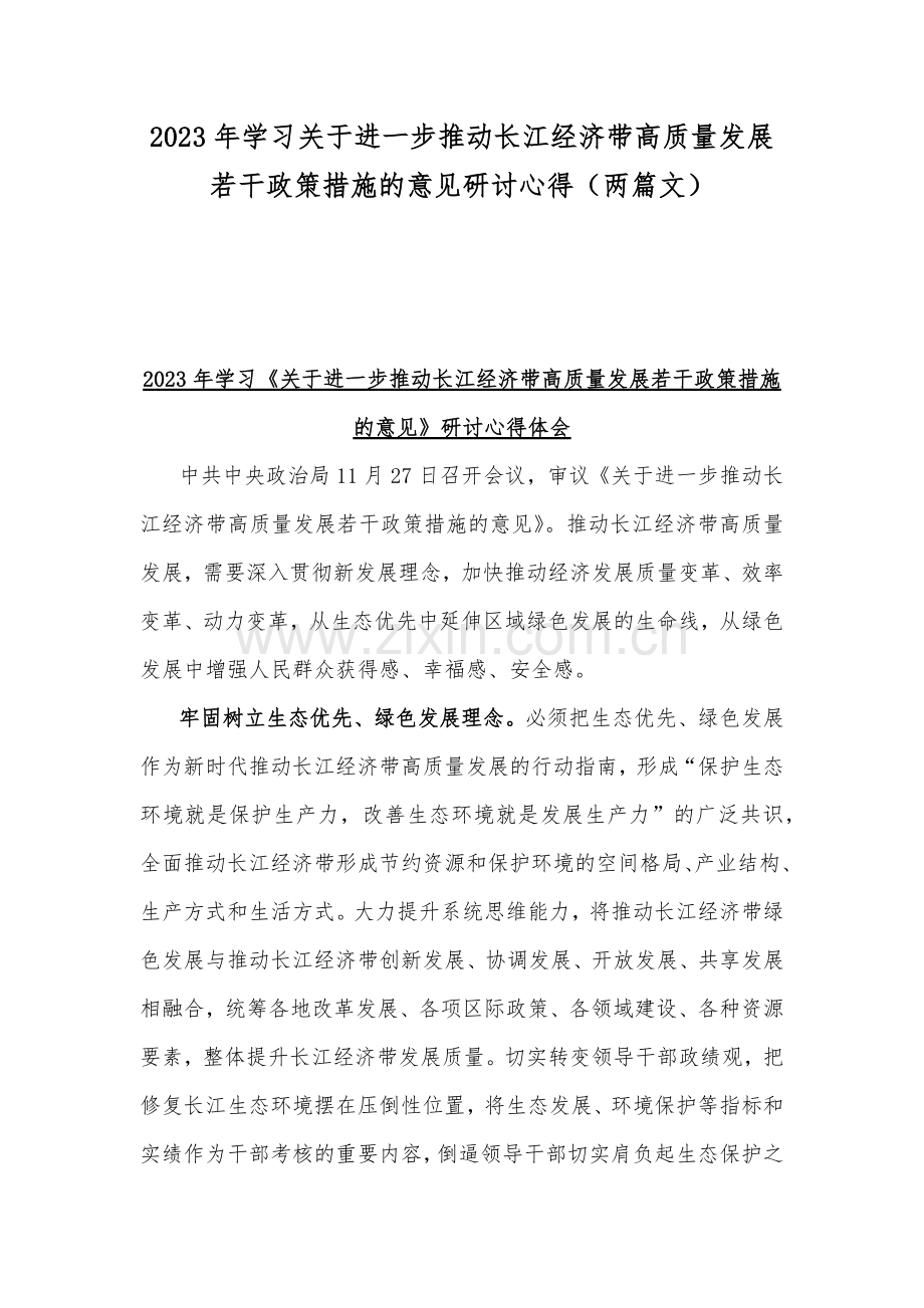 2023年学习关于进一步推动长江经济带高质量发展若干政策措施的意见研讨心得（两篇文）.docx_第1页