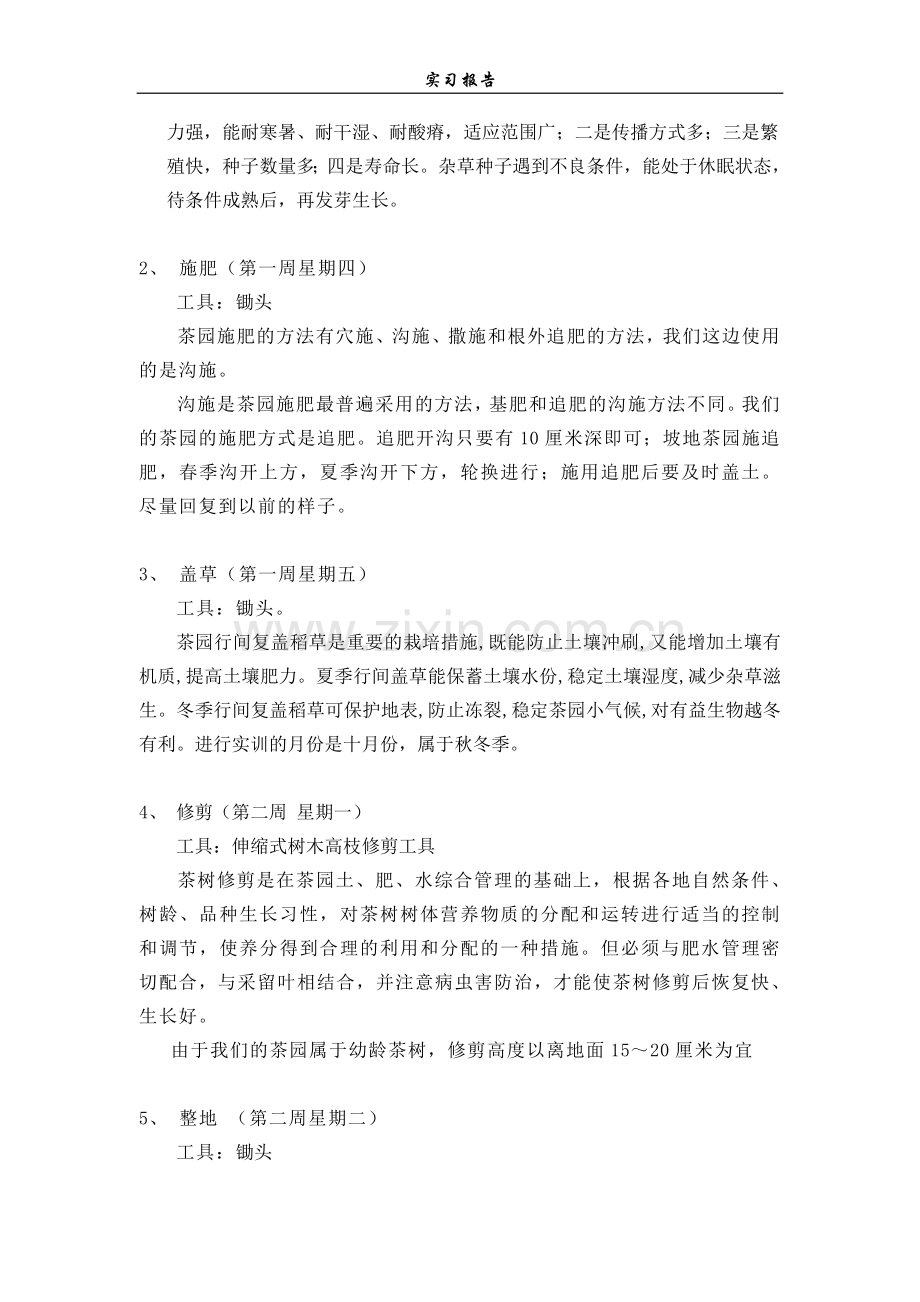 茶园实习报告.doc_第2页