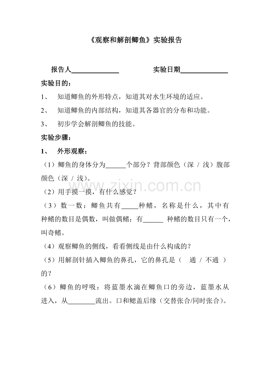 《观察和解剖鲫鱼》实验报告.doc_第1页