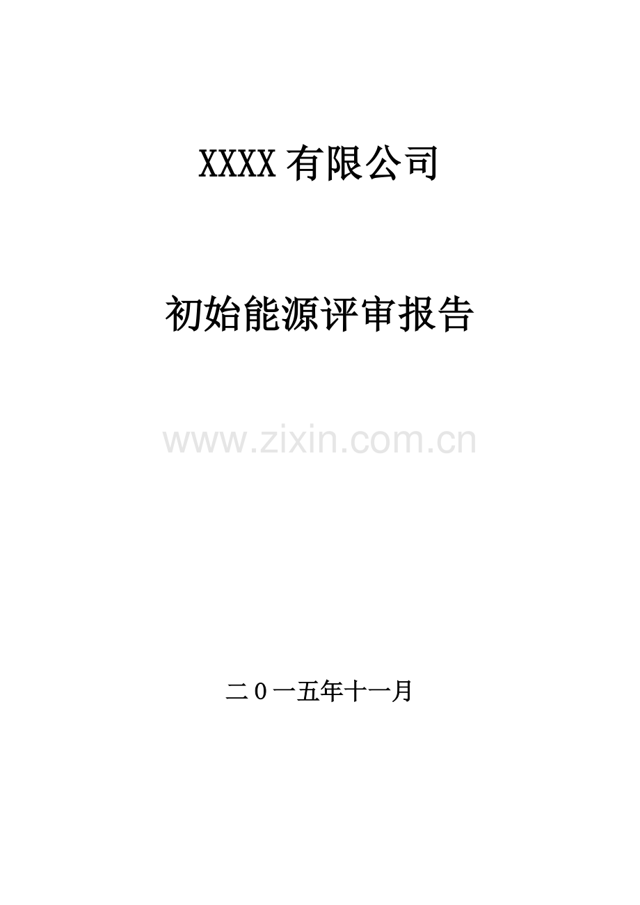 初始能源评审报告模板.doc_第1页