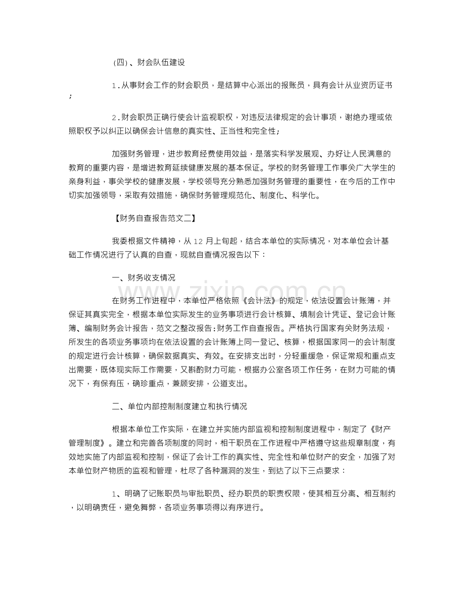 财务自查报告范文.doc_第2页
