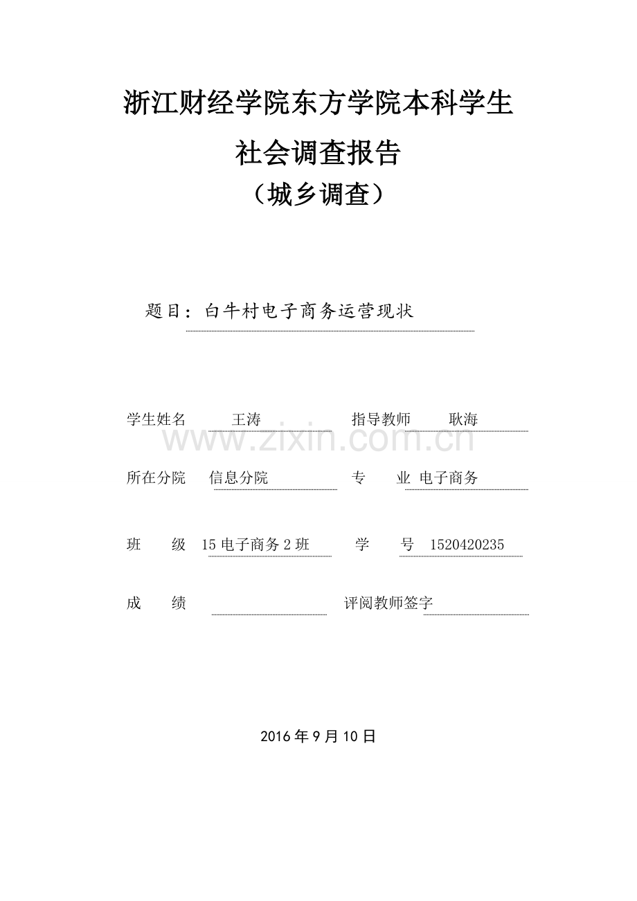 城乡调查报告-范文.doc_第1页