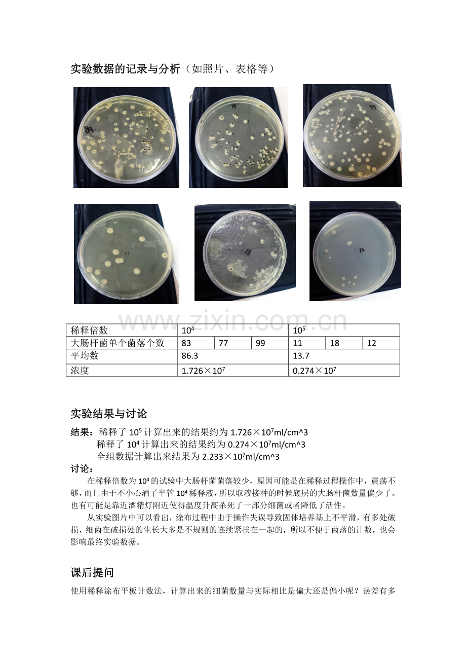大肠杆菌微生物培养实验报告及评价标准.docx_第2页