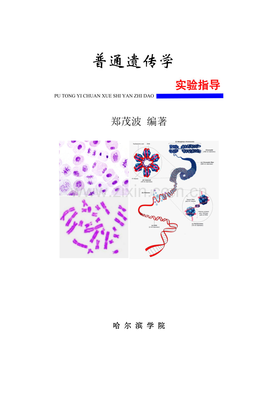 《普通遗传学实验指导》.doc_第1页