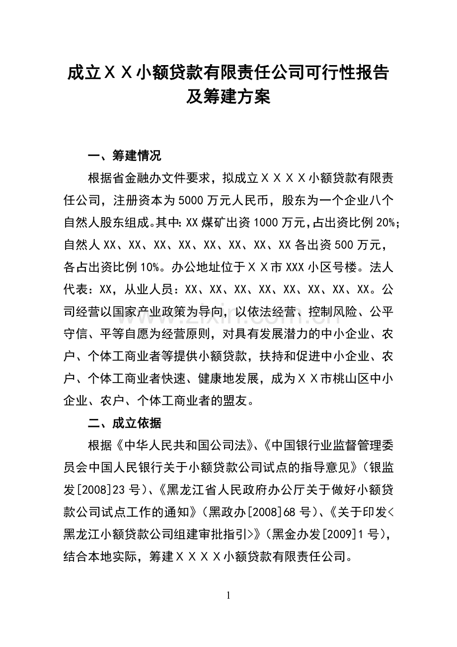 成立ⅩⅩ小额贷款有限责任公司可行性报告及筹建方案.doc_第1页