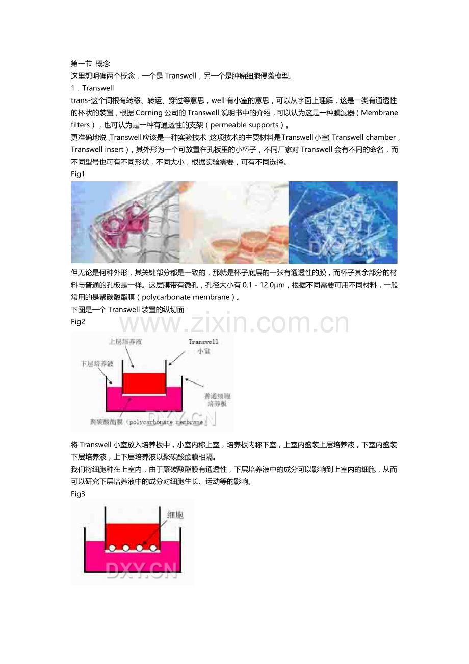 transwell实验整理版.docx_第1页