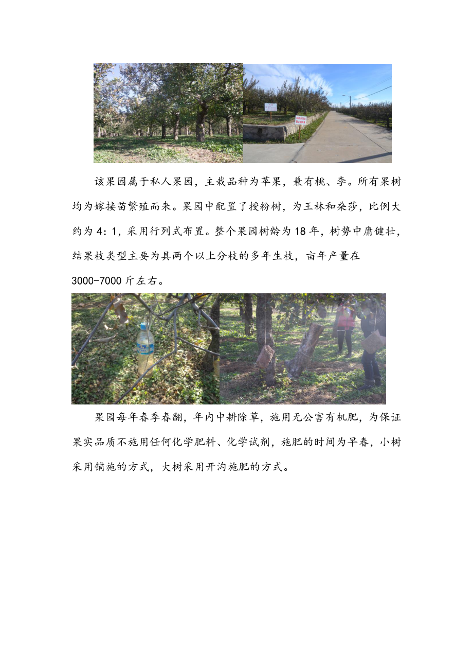 北京林业大学经济林实习报告.doc_第2页