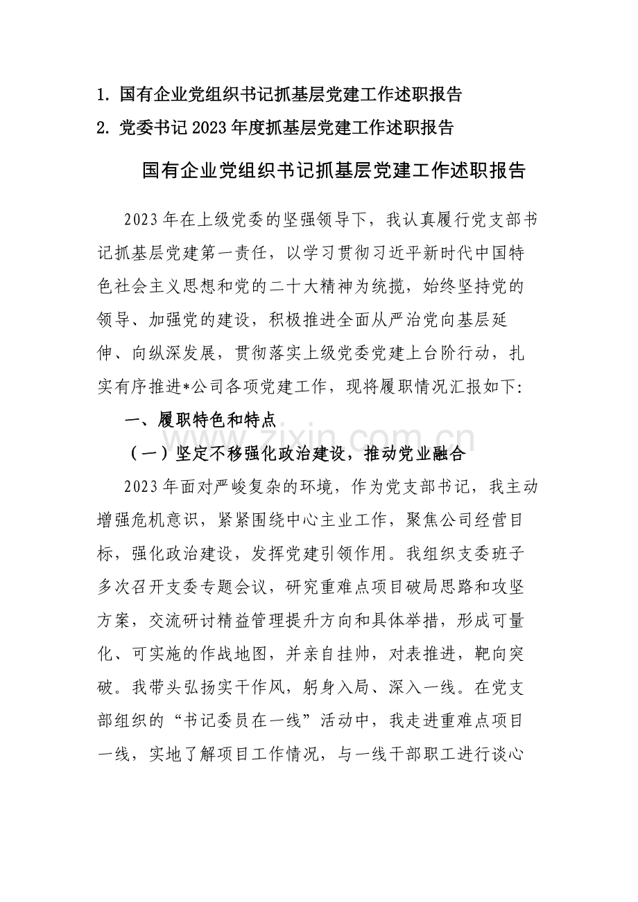 两篇：党委书记2023年度抓基层党建工作述职报告.docx_第1页