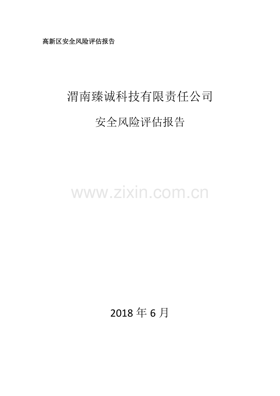 安全风险评估报告.docx_第1页