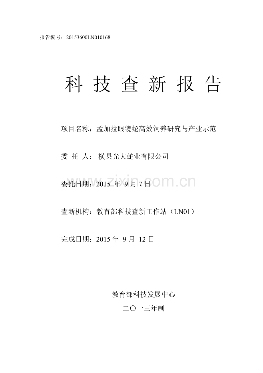 查新报告模板.doc_第1页