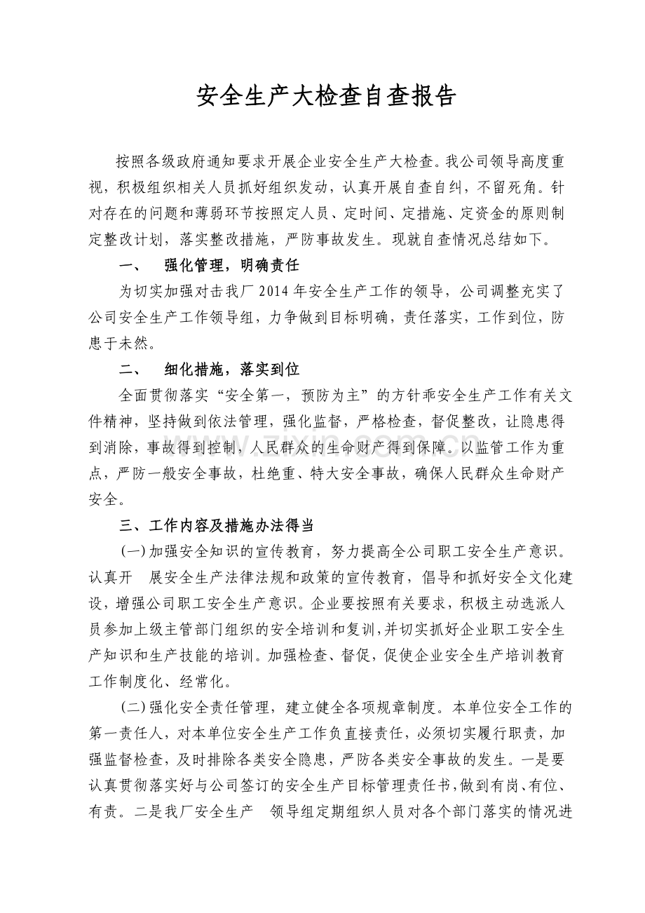 安全生产大检查自查报告.doc_第1页
