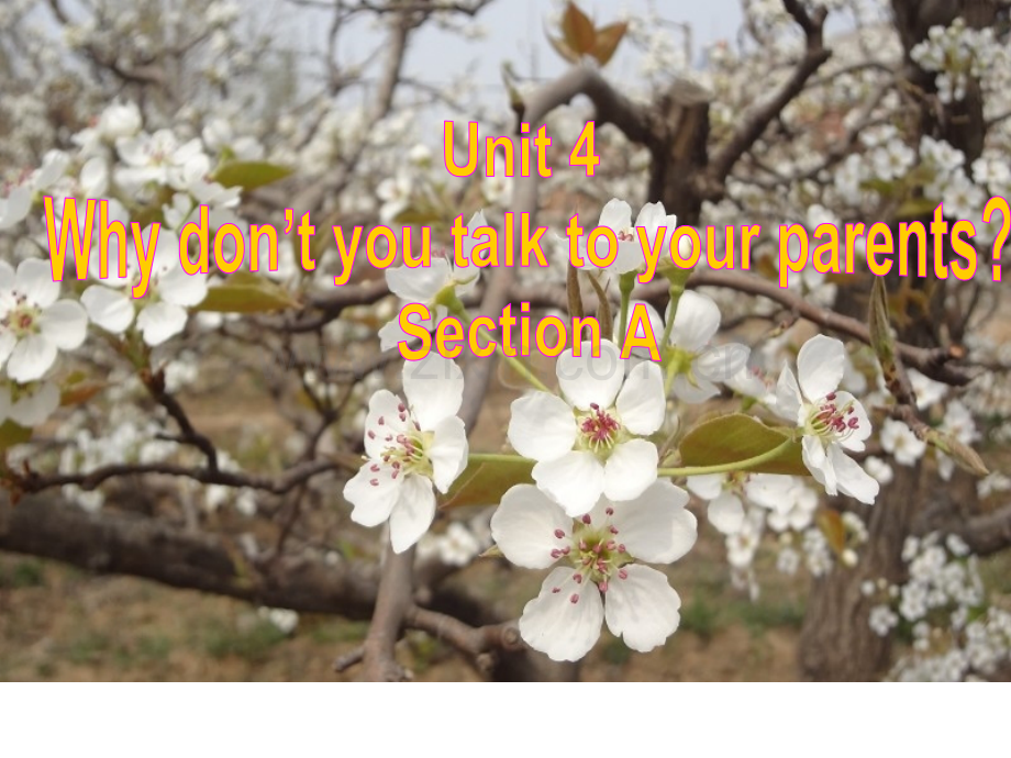 Why-don't-you-talk-to-your-parents课件.ppt_第1页