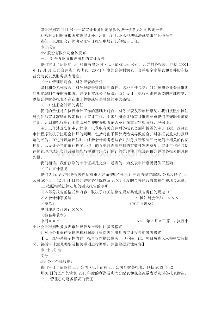 财务报表审计报告格式.doc_第2页