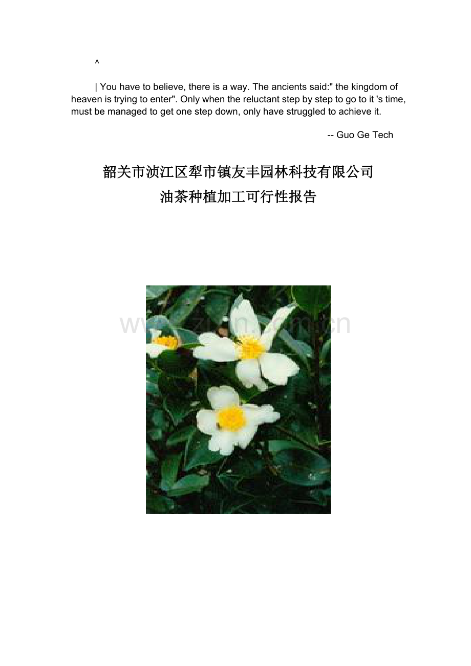 ekevuic油茶种植项目可行性报告.doc_第1页